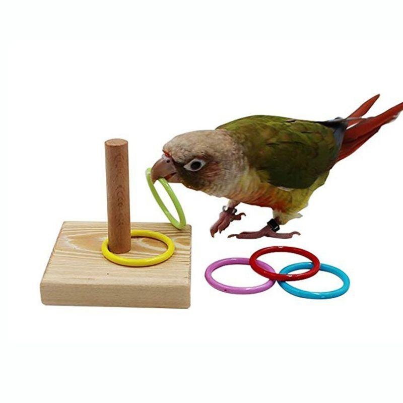 Bird Training Ring Toy Parrot  - Gymnastic Ring Wood ulasan dan harga