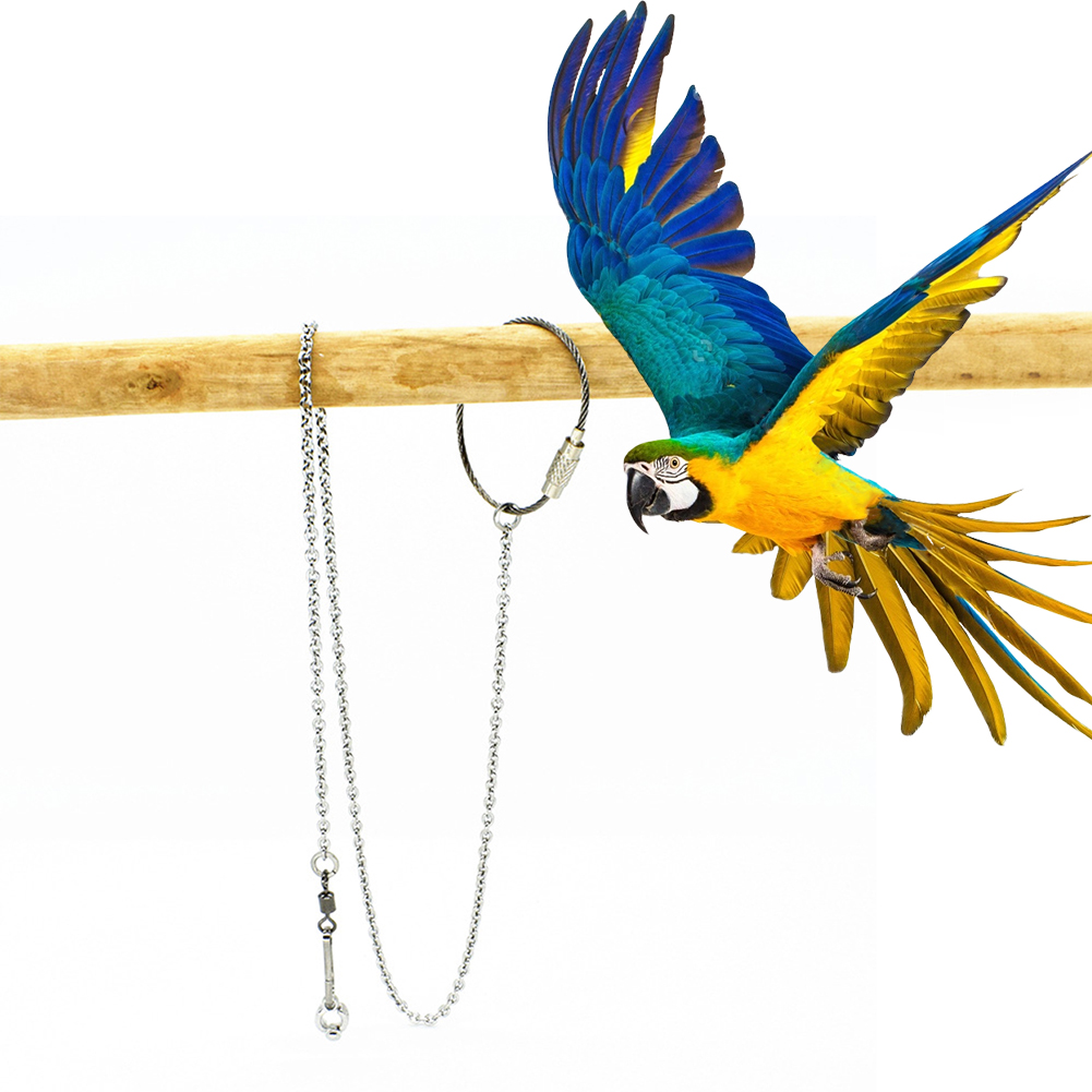 1Pcs Pet Parrot Leg Ring Ankle - Gymnastic Ring Wood ulasan dan harga