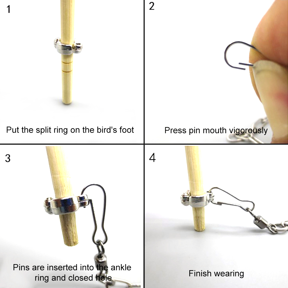 1Pcs Pet Parrot Leg Ring Ankle - Gymnastic Ring Wood ulasan dan harga